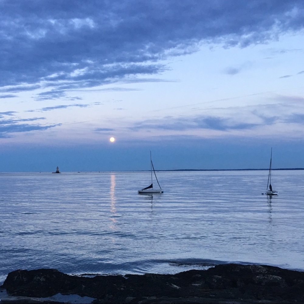 Meet your Posher, Terry